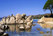 都体：道格拉斯-路易斯不考虑冬窗离开尤文图斯.